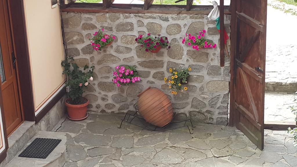 קופריבשטיצה Denis Guest House מראה חיצוני תמונה