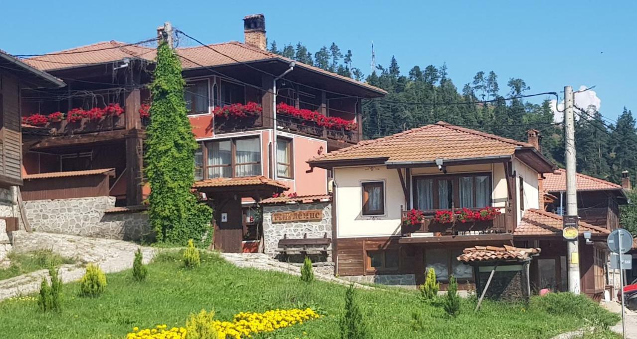 קופריבשטיצה Denis Guest House מראה חיצוני תמונה